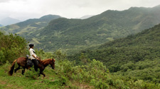 Brazil-Rio/Sao Paulo-Darwin's Rainforest Trail